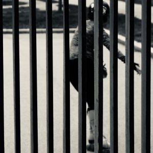 Rullskridskor i Tessinparken